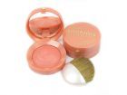 Bourjois Blush (W) róż w kamieniu 16 Rose Coup de Foundre 2,5g